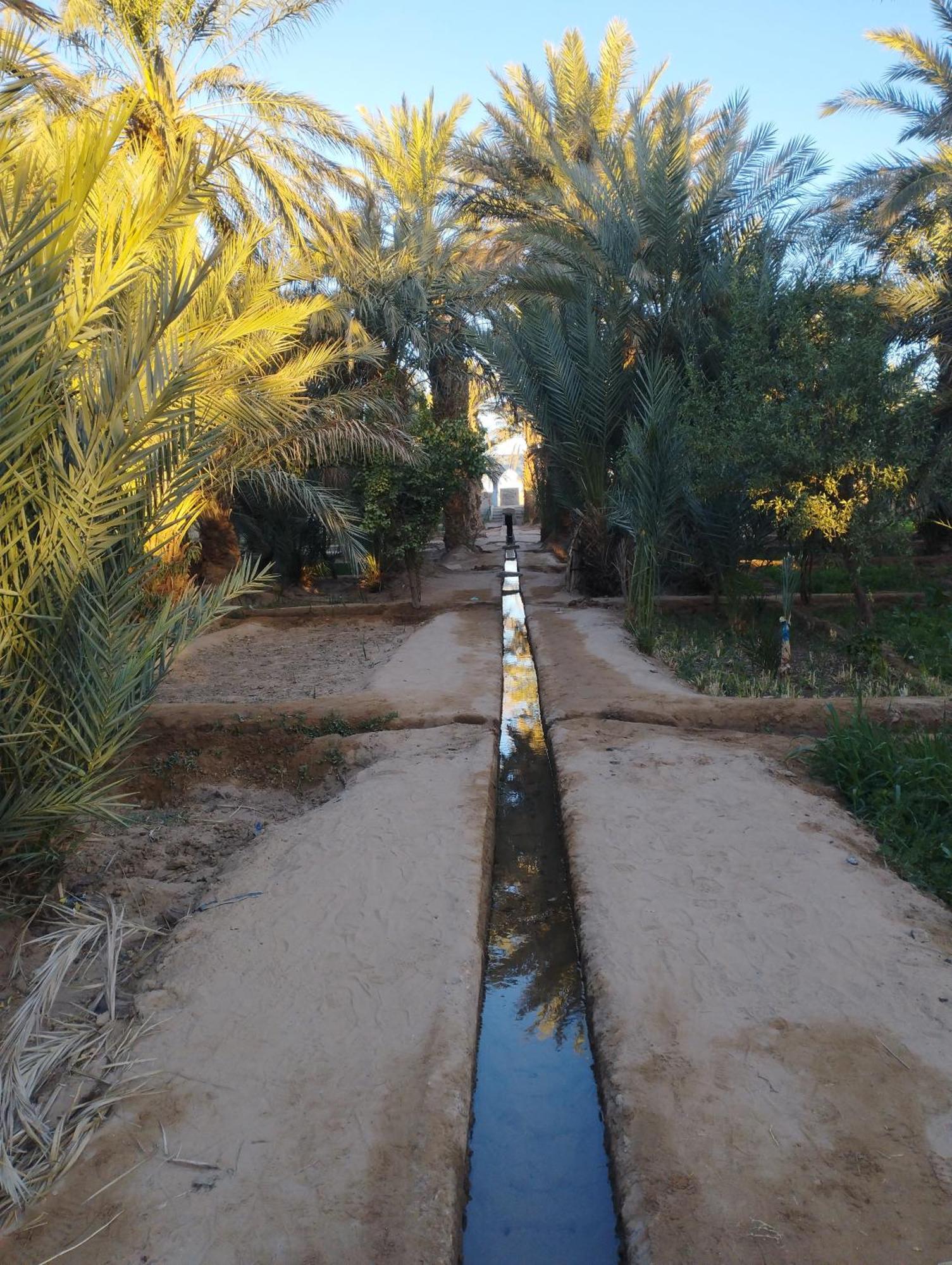 Maison Merzouga Guest House Extérieur photo